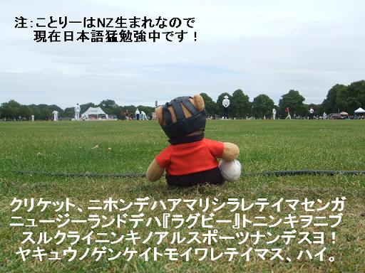 コピー (2) ～ DSCF2095.JPG