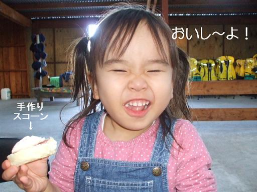 コピー ～ DSCF3403.JPG