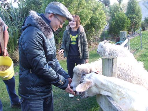 コピー ～ DSCF3364.JPG