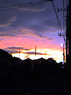 2006.8.8夕焼け.jpg