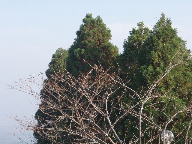 PA150008.jpg