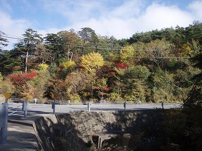 PA230054.jpg