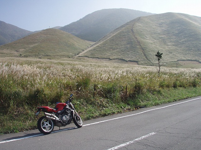 PA160042.jpg