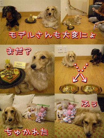 大変にょ.jpg