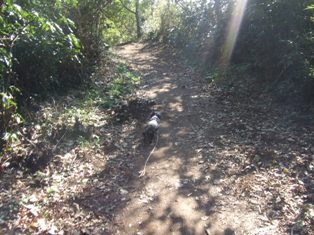 DSCF1731.JPG