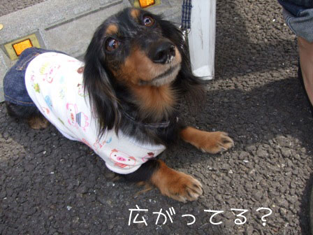 鼻の穴.jpg