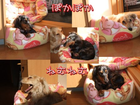 名称未設定-1.jpg