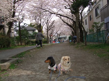 DSCF4685.JPG