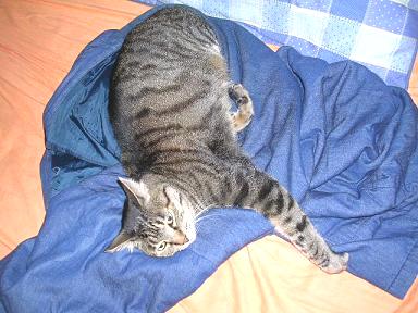 DSCN7329.JPG