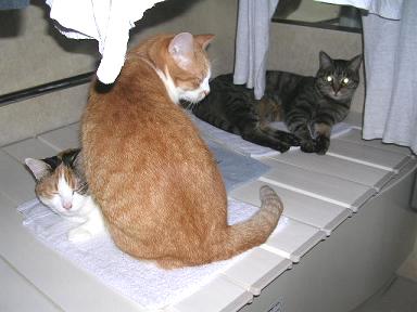 DSCN7606.JPG