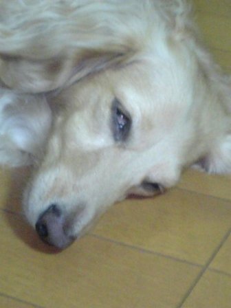 床の上が最高～☆