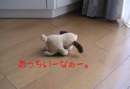 あっついぞぉ～。