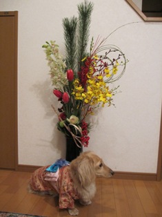 寒いわ・・・・。