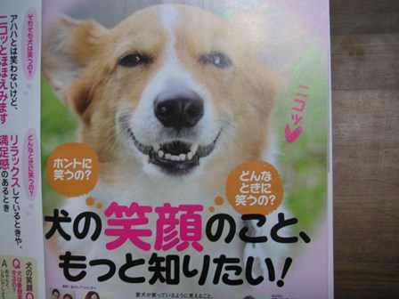 犬の笑顔？？