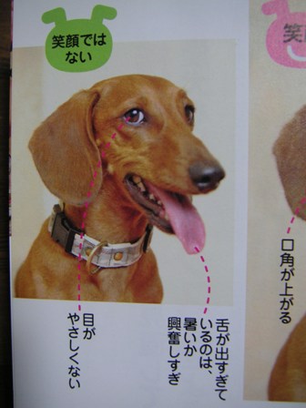 これはハァハァしてるとこ。