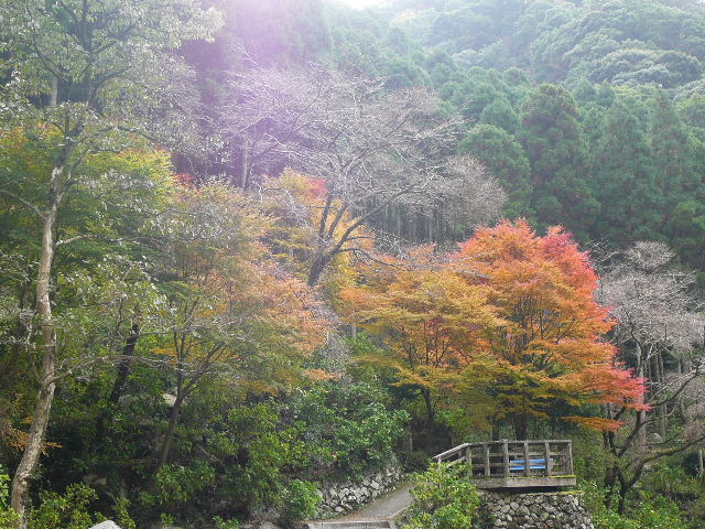 見返りの滝130