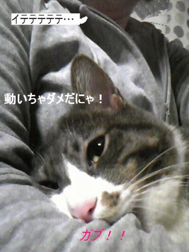 甘えっ子のリク　3