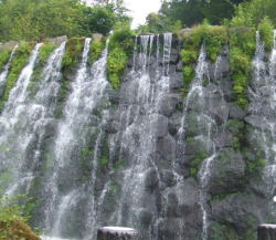DSCF1223.JPG