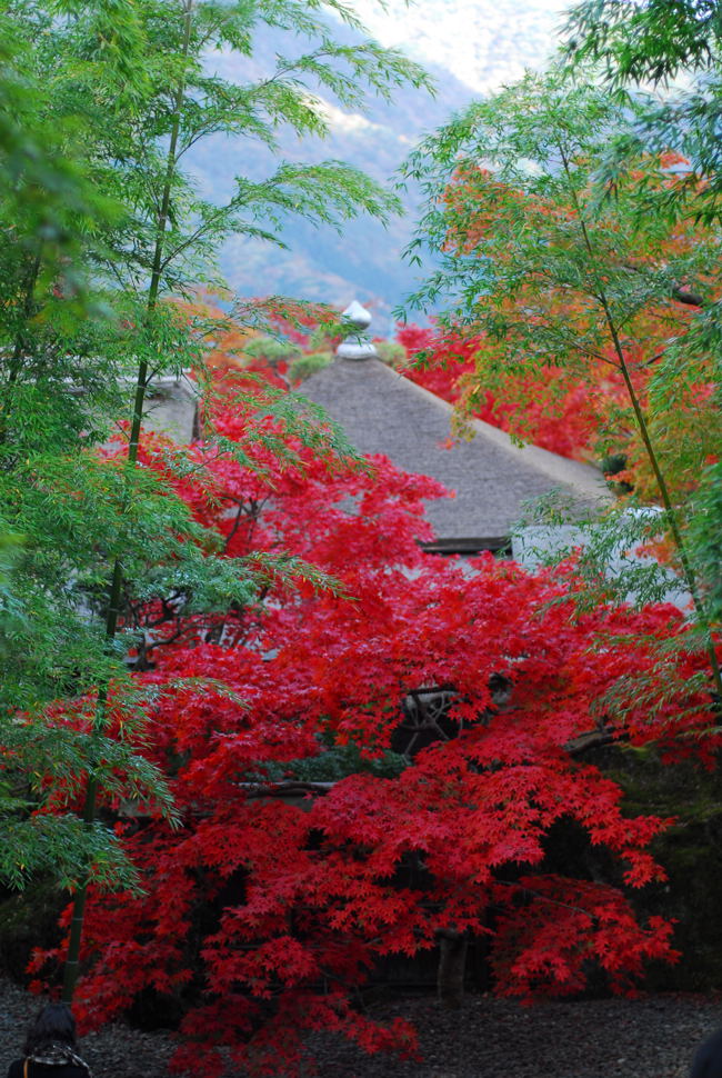 山寺の紅葉　第12回総合写真展　入選作品