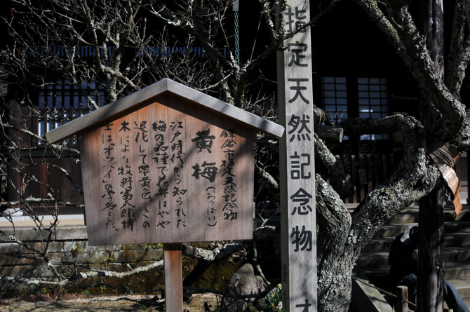 瑞泉寺　2009