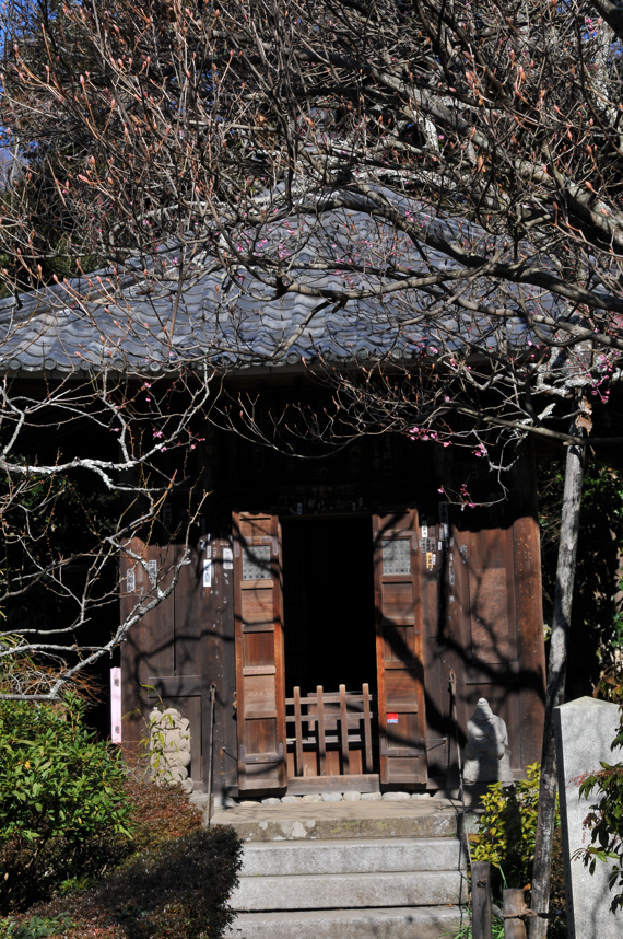 瑞泉寺　2009