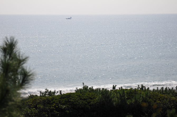 大磯の浜