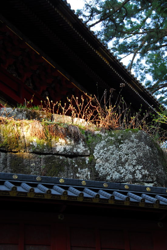 世界遺産の二荒山神社