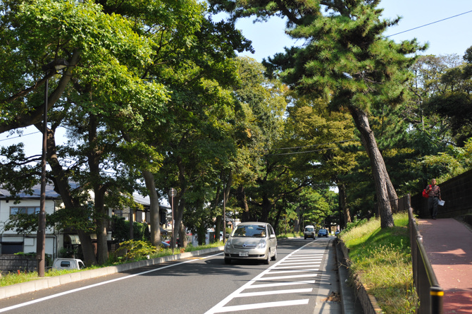 旧東海道の松並木