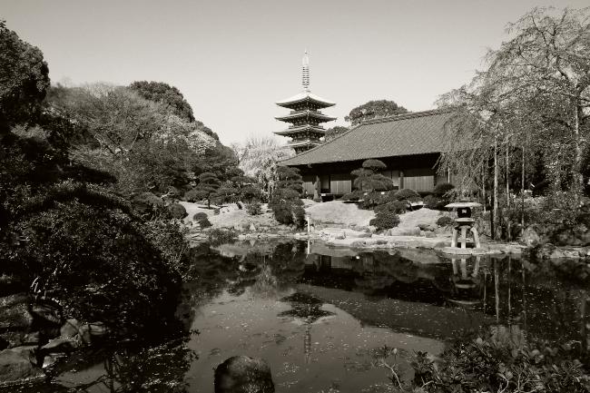 伝法院の庭園　2011.4.12