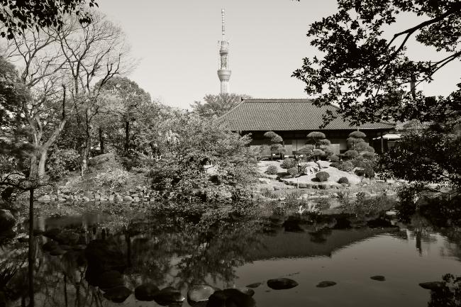 伝法院の庭園　2011.4.12