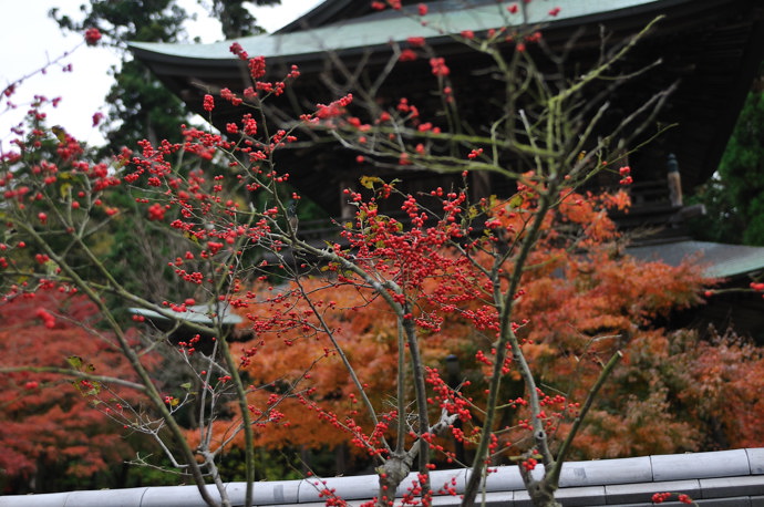 北鎌倉の円覚寺　2009.11.29