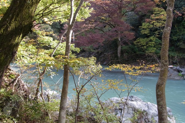 初冬の御岳渓谷　２０１１．１１．１２