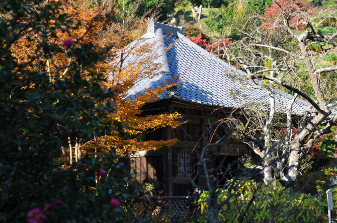 海蔵寺の紅葉2008