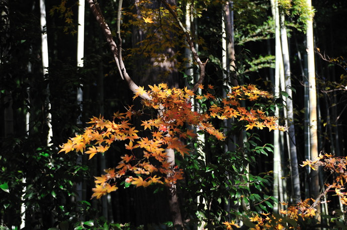 平林寺