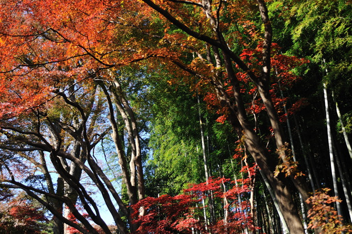 平林寺