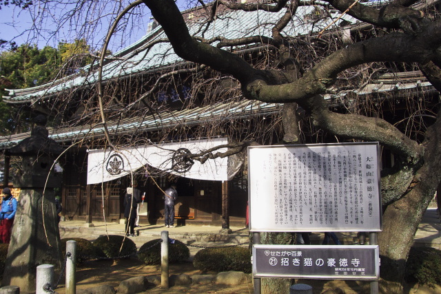 豪徳寺　2012.1.2