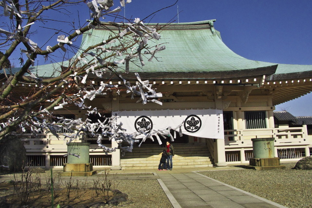 豪徳寺　2012.1.2