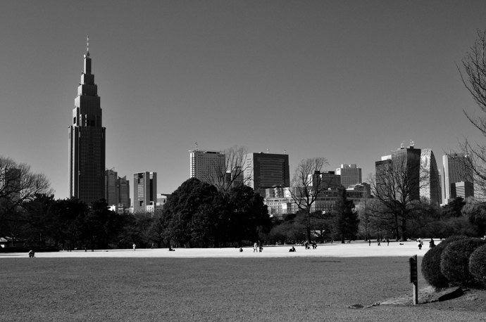 新宿御苑の冬景色　2010.1.24