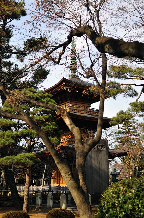 豪徳寺　２００９．１．３