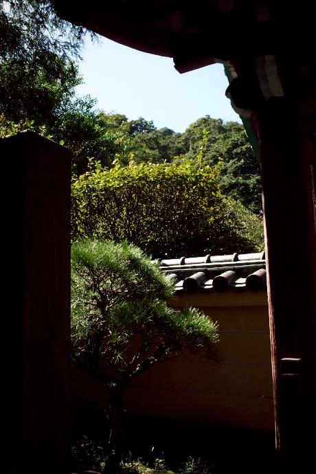 鎌倉　光則寺　2010.10.11