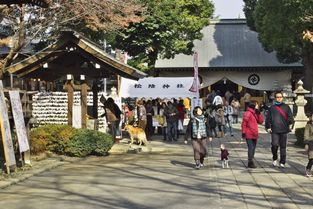 松陰神社　2012.1.2