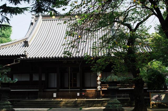 上野　寛永寺　2011.10