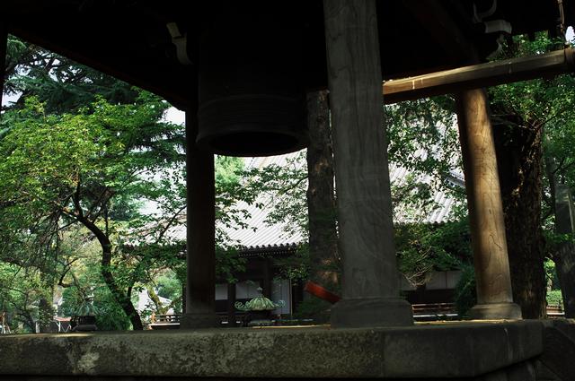 上野　寛永寺　2011.10