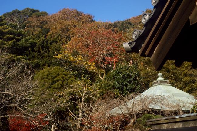 浄光妙寺の紅葉2010.12.4