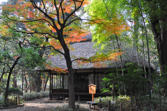 蘆花恒春園　2008