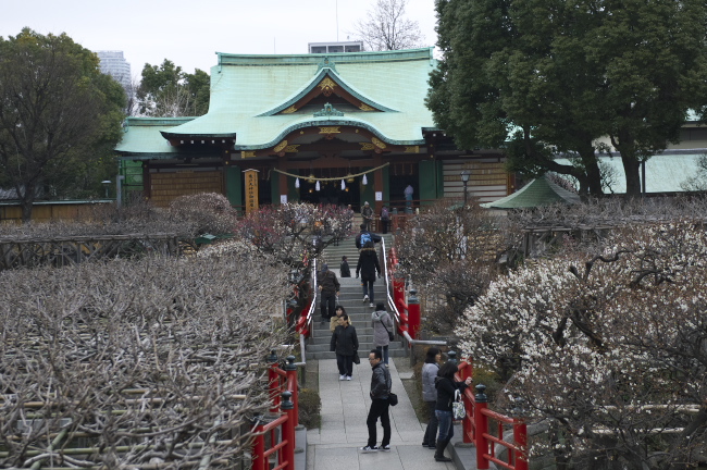 亀戸天神社　2011.2.20