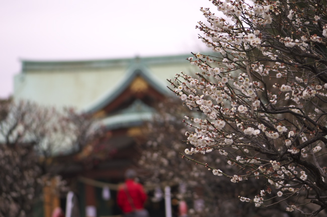 亀戸天神社　2011.2.20