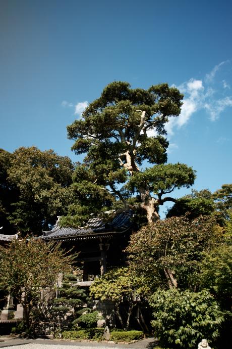 長谷寺　2010.10.11