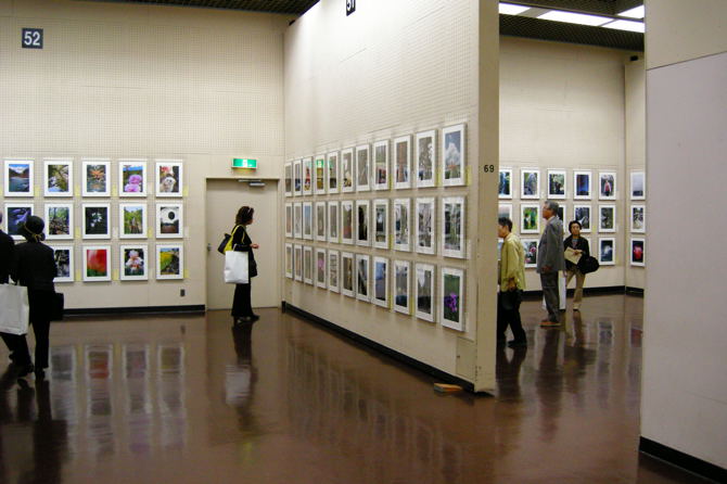 第１１回総合写真展　