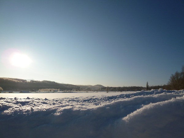 富良野雪野原4